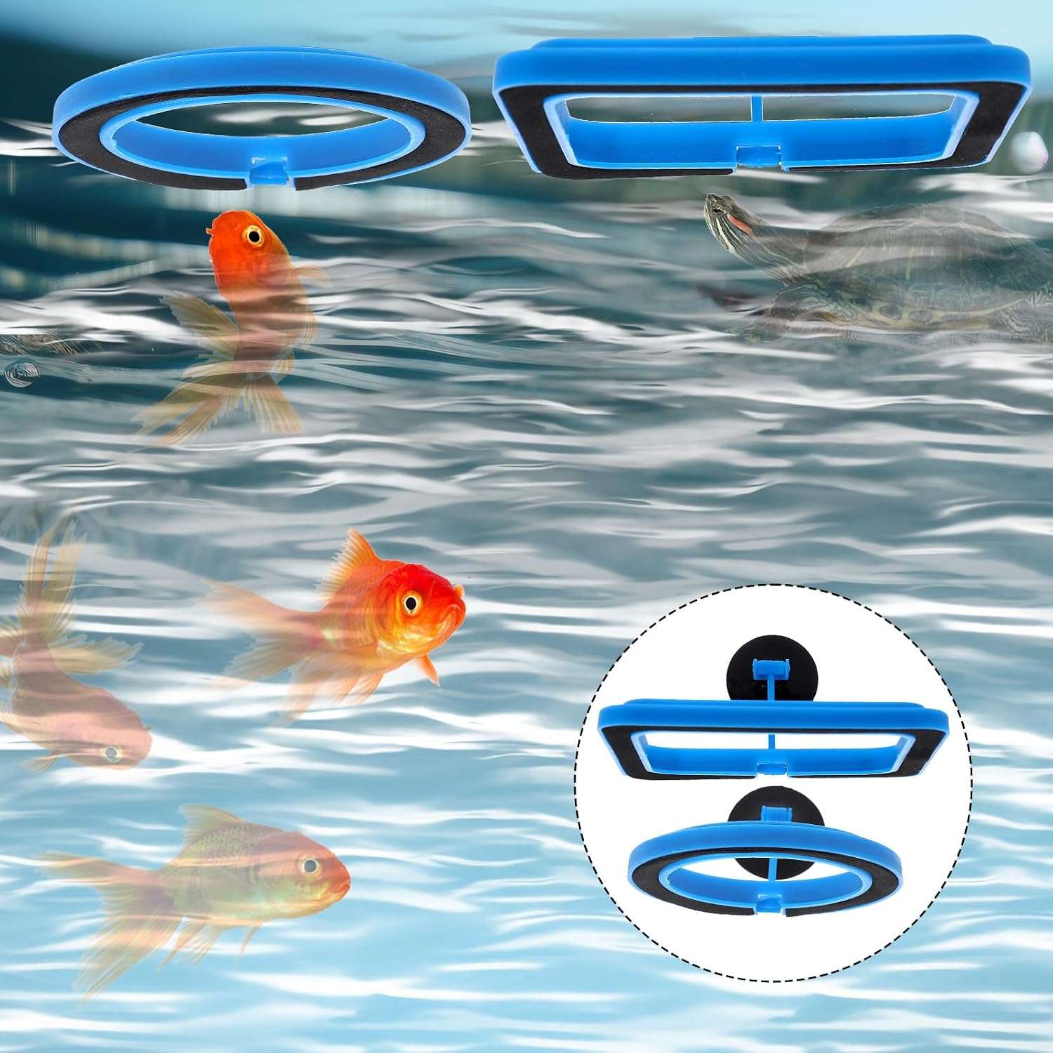 Anillo de alimentación flotante redondo o cuadrado para acuario. Fabricado en goma PVC no tóxica, con ventosa de fijación y enlace flexible que se ajusta automáticamente al nivel del agua