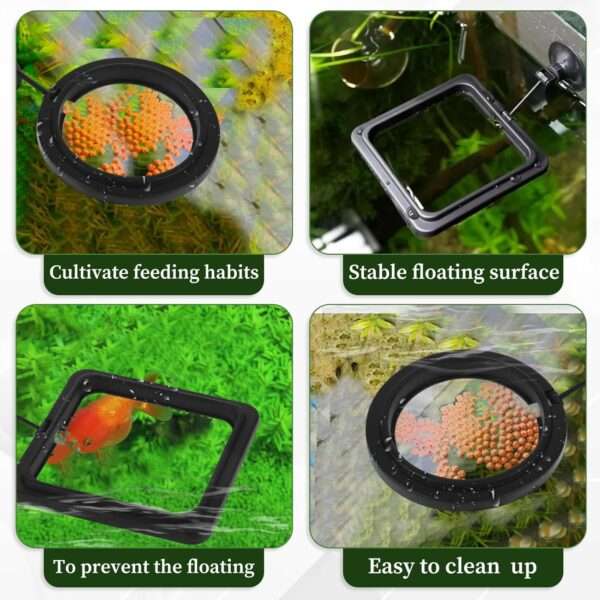 Anillo de alimentación flotante redondo o cuadrado para acuario. Fabricado en goma PVC no tóxica, con ventosa de fijación y enlace flexible que se ajusta automáticamente al nivel del agua.