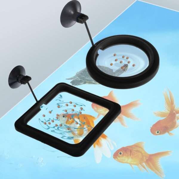 Anillo de alimentación flotante redondo o cuadrado para acuario. Fabricado en goma PVC no tóxica, con ventosa de fijación y enlace flexible que se ajusta automáticamente al nivel del agua.