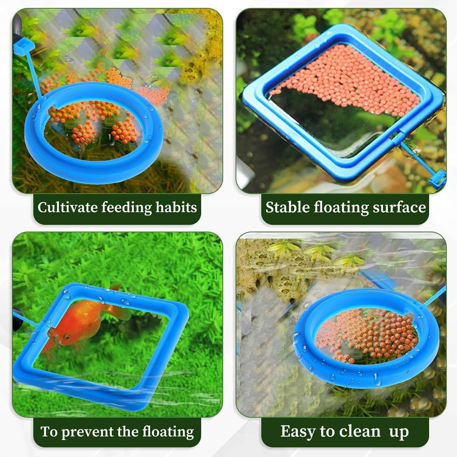 Anillo de alimentación flotante redondo o cuadrado para acuario. Fabricado en goma PVC no tóxica, con ventosa de fijación y enlace flexible que se ajusta automáticamente al nivel del agua
