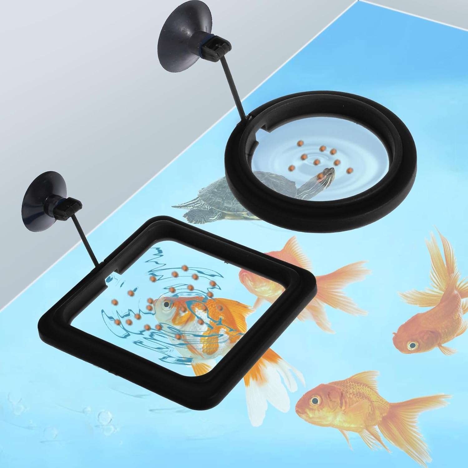 Anillo de alimentación flotante redondo o cuadrado para acuario. Fabricado en goma PVC no tóxica, con ventosa de fijación y enlace flexible que se ajusta automáticamente al nivel del agua.