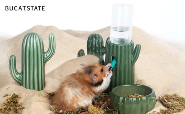 Bebedero Antifugas Temático Cactus para Hámster y Jerbos. Base de Cerámica Estable con diseño de Desierto y botella de 118 ml.