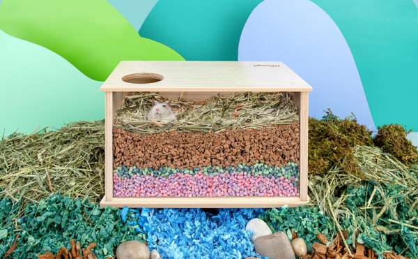 Caja de Excavación Antiestrés Niteangel (28x19x18 cm) de Madera y Acrílico. Escondite profundo Visible para Hámster (Sirio y Enano) y Jerbos.