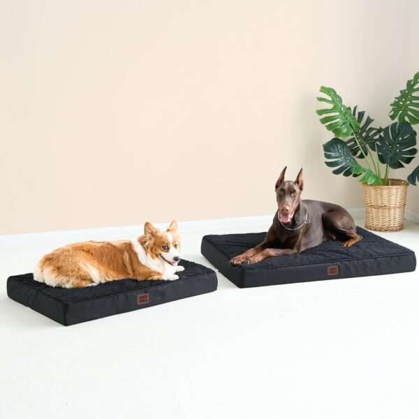 Colchón ortopédico para perro grande, 10 cm de espuma de huevo de alta densidad, funda lavable con cremallera y base antideslizante.