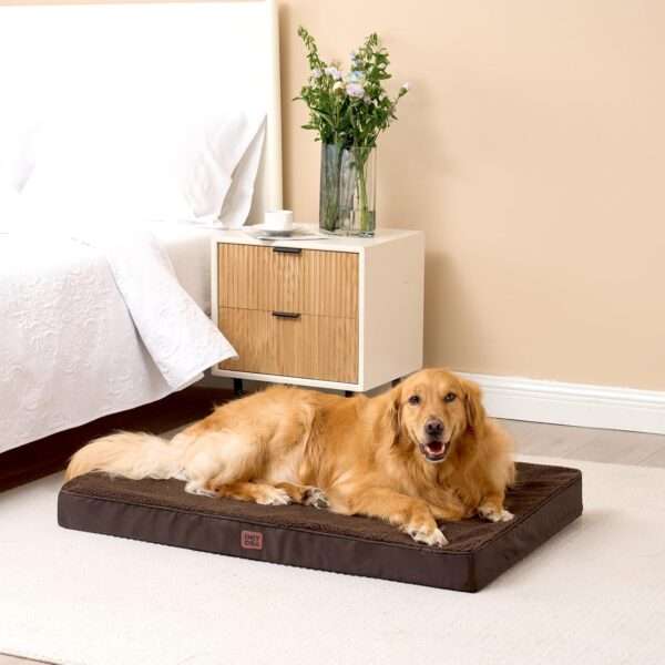 Colchón ortopédico para perro grande, 10 cm de espuma de huevo de alta densidad, funda lavable con cremallera y base antideslizante.