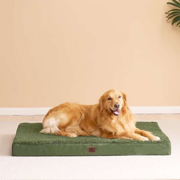 Colchón ortopédico para perro grande, 10 cm de espuma de huevo de alta densidad, funda lavable con cremallera y base antideslizante.