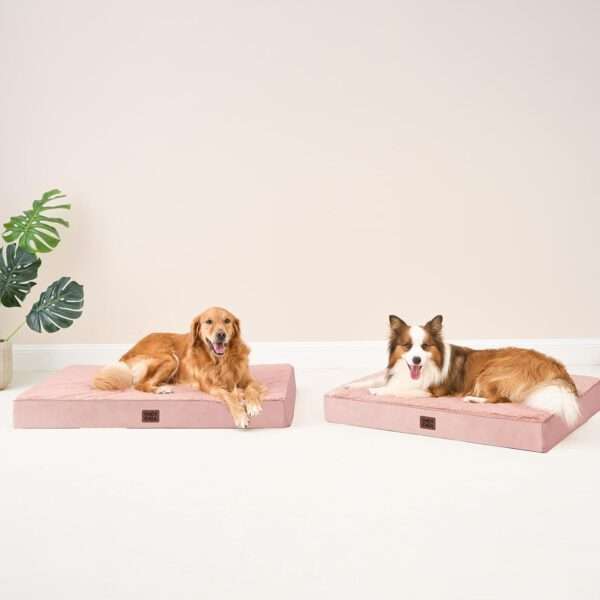 Colchón ortopédico para perro grande, 10 cm de espuma de huevo de alta densidad, funda lavable con cremallera y base antideslizante.