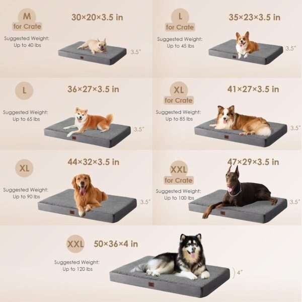 Colchón ortopédico para perro grande, 10 cm de espuma de huevo de alta densidad, funda lavable con cremallera y base antideslizante.