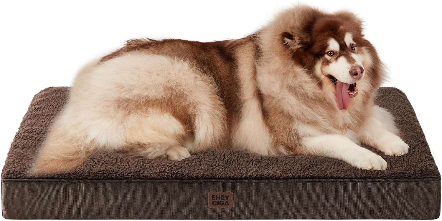 Colchon ortopedico extra grande para perros con espuma de alta densidad y funda lavable.