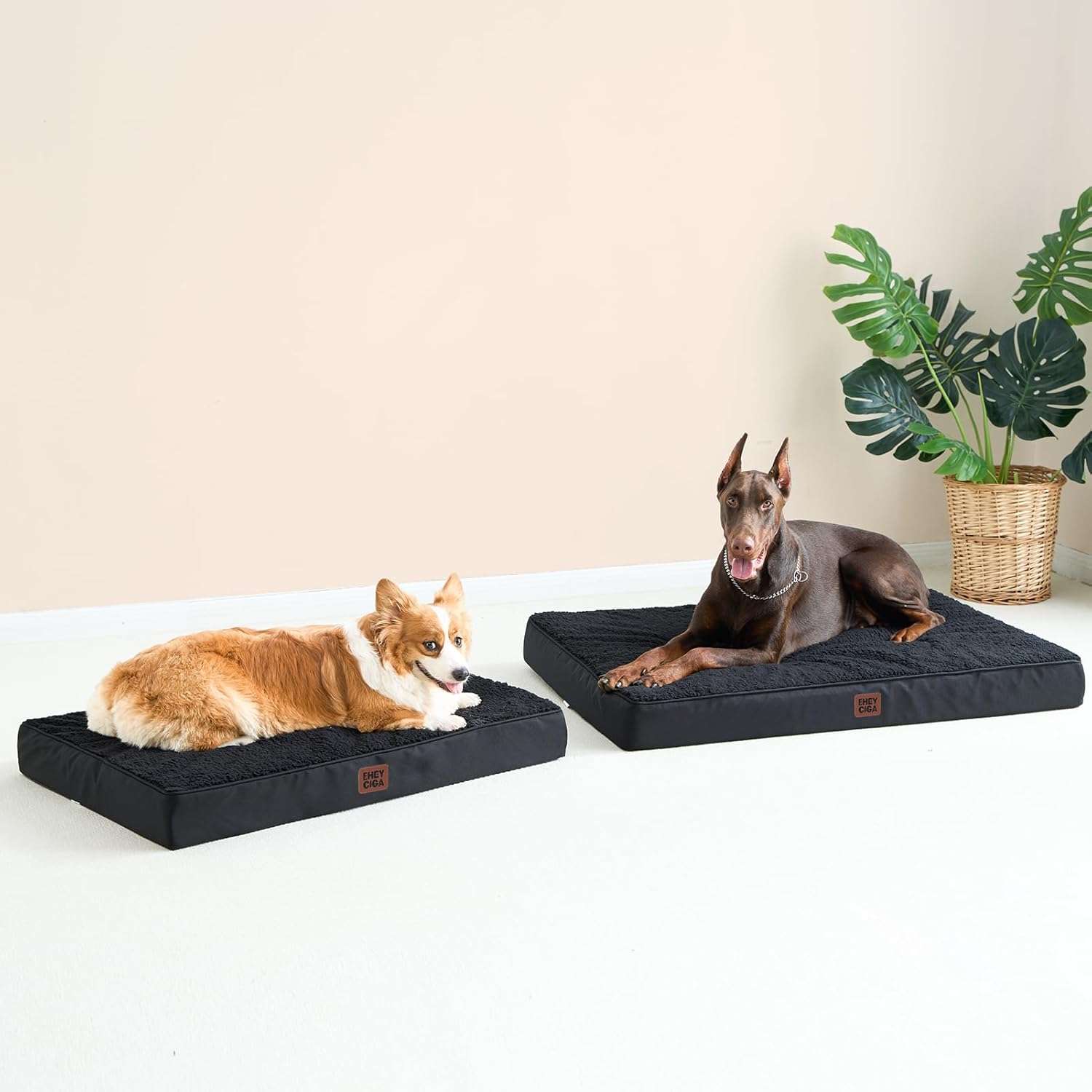 Colchon ortopedico extra grande para perros con espuma de alta densidad y funda lavable.