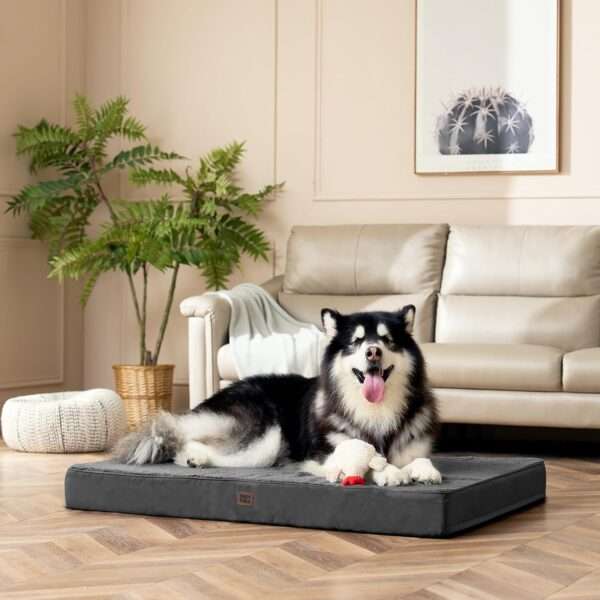Colchón ortopédico para perro grande, 10 cm de espuma de huevo de alta densidad, funda lavable con cremallera y base antideslizante.