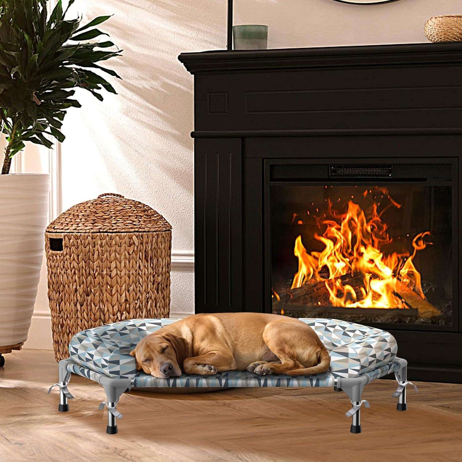 Cama elevada ortopédica para perros con refuerzo cervical U y diseño hexagonal 6 lados. Ideal para perros senior/artritis en Chile.