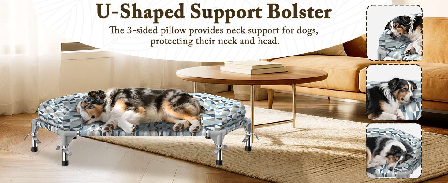 Cama elevada ortopédica para perros con refuerzo cervical U y diseño hexagonal 6 lados. Ideal para perros senior/artritis en Chile.