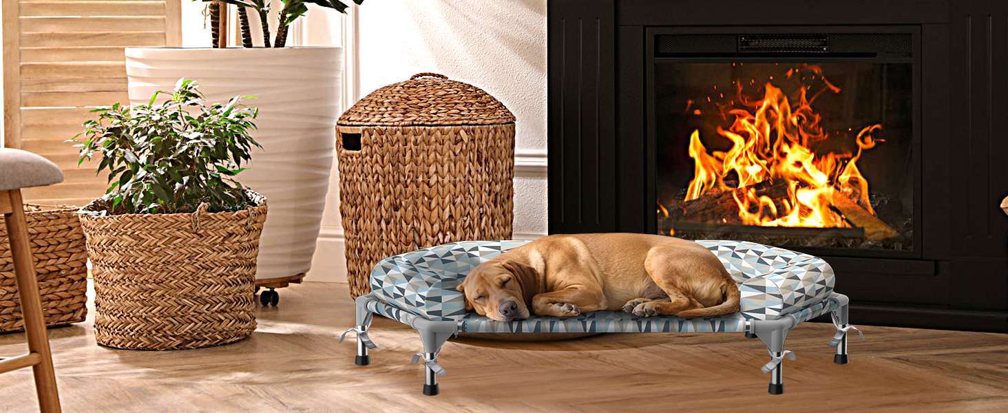 Cama elevada ortopédica para perros con refuerzo cervical U y diseño hexagonal 6 lados. Ideal para perros senior/artritis en Chile.