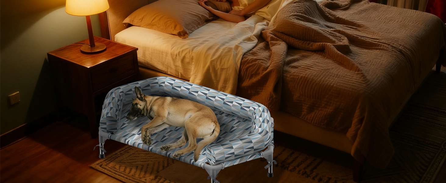 Cama elevada ortopédica para perros con refuerzo cervical U y diseño hexagonal 6 lados. Ideal para perros senior/artritis en Chile.