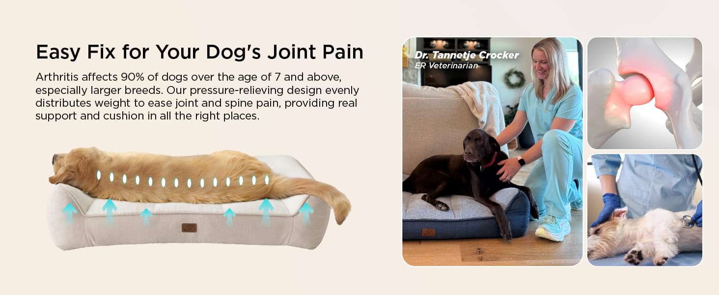 Cama ortopedica extra gruesa para perros con cojines de apoyo base impermeable y funda lavable.