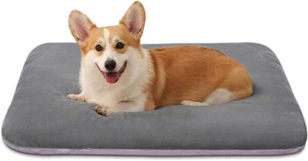 Cama ortopédica JUMBO/XL para perros grandes, con relleno de fibra y espuma, resistente a arañazos, funda anti-pelos lavable y base antideslizante.