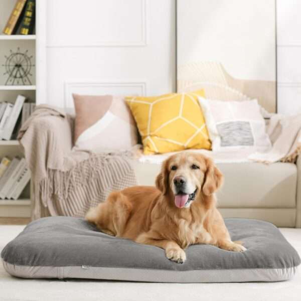 Cama ortopédica JUMBO/XL para perros grandes, con relleno de fibra y espuma, resistente a arañazos, funda anti-pelos lavable y base antideslizante.