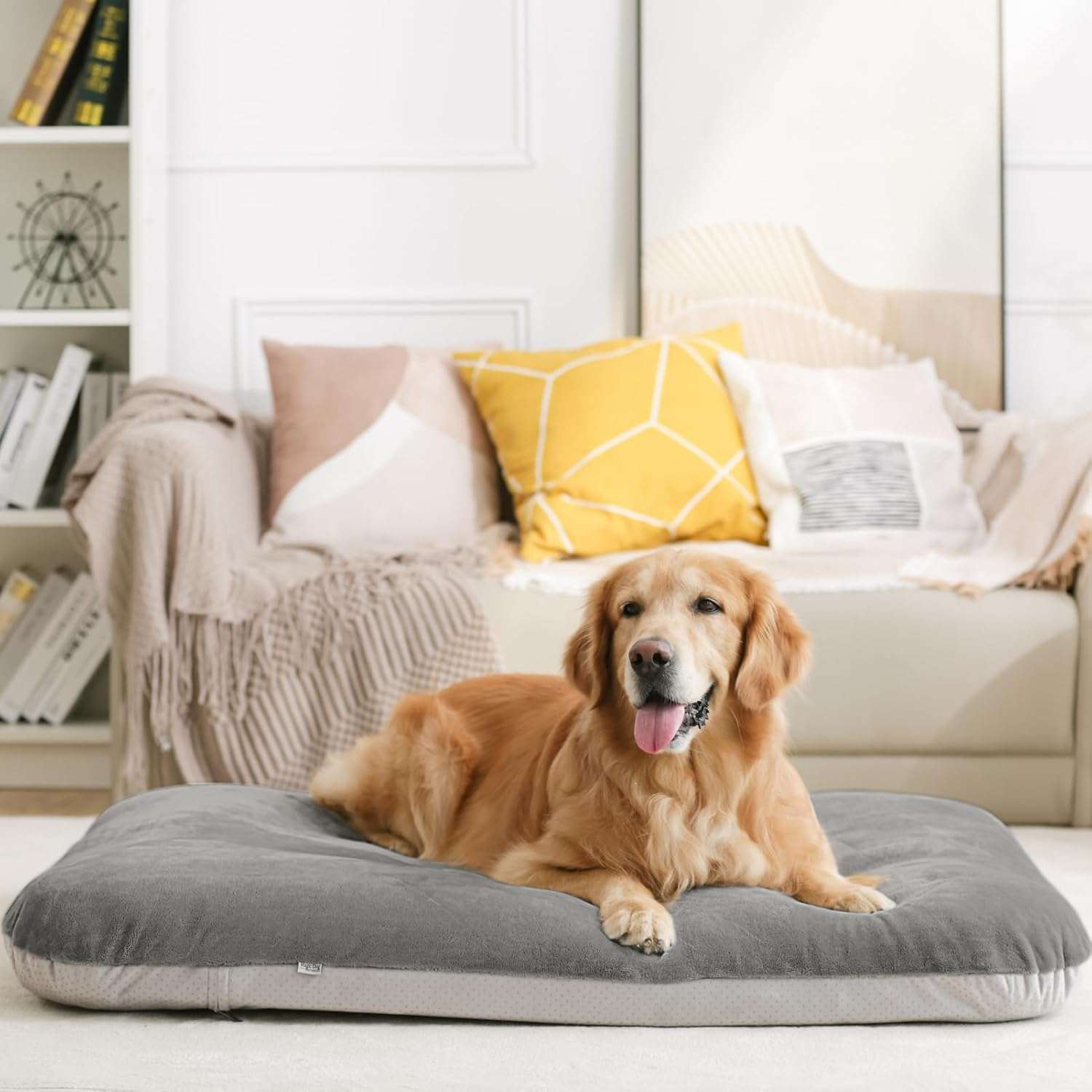 Cama ortopédica JUMBO/XL para perros grandes, con relleno de fibra y espuma, resistente a arañazos, funda anti-pelos lavable y base antideslizante.
