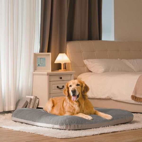 Cama ortopédica JUMBO/XL para perros grandes, con relleno de fibra y espuma, resistente a arañazos, funda anti-pelos lavable y base antideslizante.