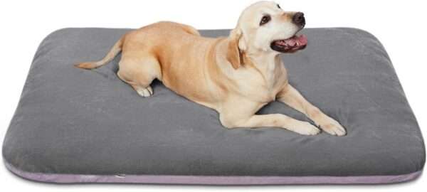 Cama ortopédica JUMBO/XL para perros grandes, con relleno de fibra y espuma, resistente a arañazos, funda anti-pelos lavable y base antideslizante.