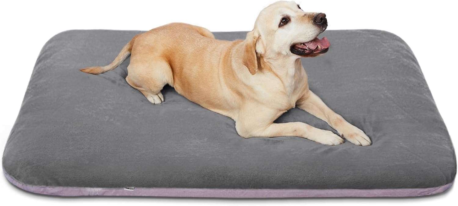 Cama ortopédica JUMBO/XL para perros grandes, con relleno de fibra y espuma, resistente a arañazos, funda anti-pelos lavable y base antideslizante.