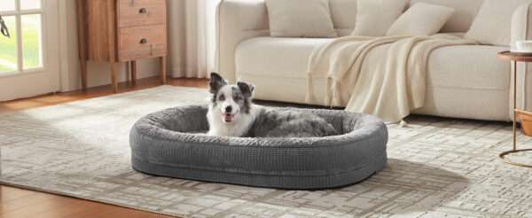 Cama ortopédica XL para perros con Memory Foam, soporte reforzado 360° para cabeza/cuello, forro interior impermeable y base antideslizante.