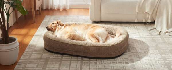 Cama ortopédica XL para perros con Memory Foam, soporte reforzado 360° para cabeza/cuello, forro interior impermeable y base antideslizante.