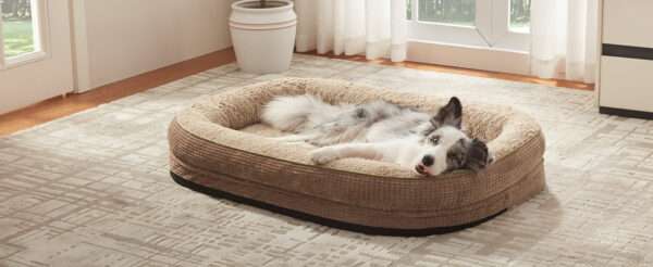 Cama ortopédica XL para perros con Memory Foam, soporte reforzado 360° para cabeza/cuello, forro interior impermeable y base antideslizante.