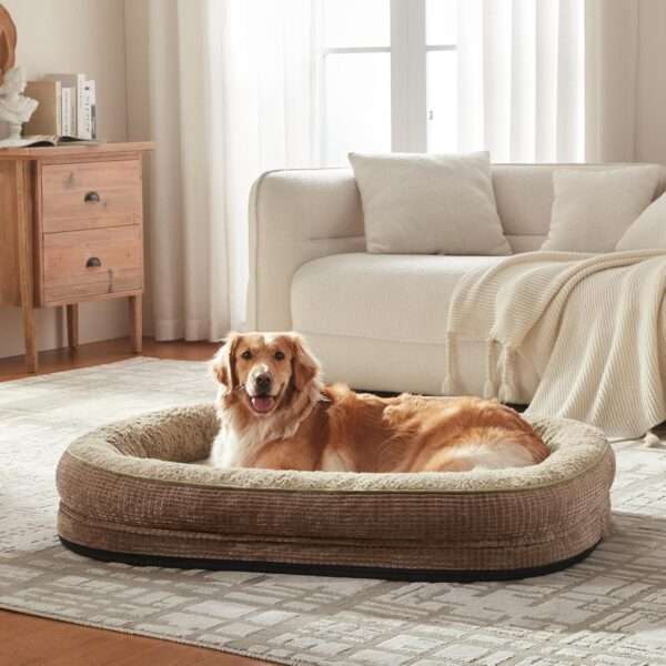 Cama ortopédica XL para perros con Memory Foam, soporte reforzado 360° para cabeza/cuello, forro interior impermeable y base antideslizante.