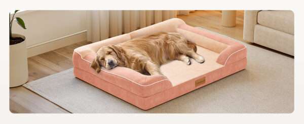 Cama extragrande CWAWZ con 4 pulgadas de espuma ortopédica y gel refrescante. Funda lavable y forro 100% impermeable.