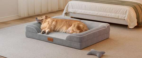 Cama extragrande CWAWZ con 4 pulgadas de espuma ortopédica y gel refrescante. Funda lavable y forro 100% impermeable.
