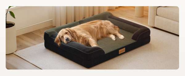 Cama extragrande CWAWZ con 4 pulgadas de espuma ortopédica y gel refrescante. Funda lavable y forro 100% impermeable.