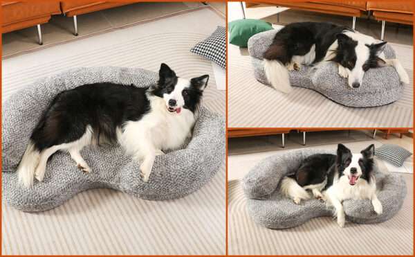 Cama ortopédica impermeable para perros con espuma viscoelástica y diseño anti-ansiedad, funda lavable y doble acceso (Memory Foam).