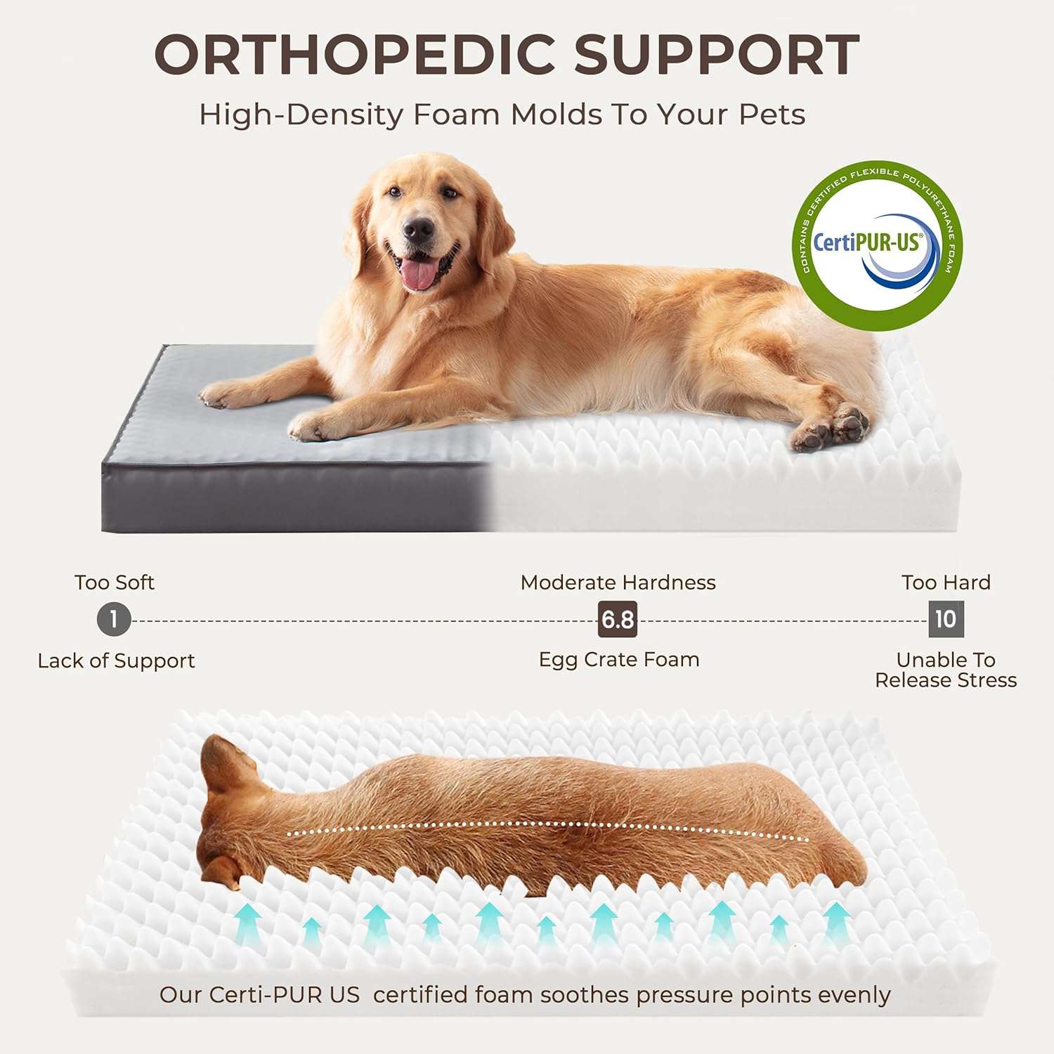 Cama para perro 5-en-1 de lujo, ortopédica con espuma gruesa, base antiarañazos e impermeable. Diseño reversible de doble cara para frío y calor.