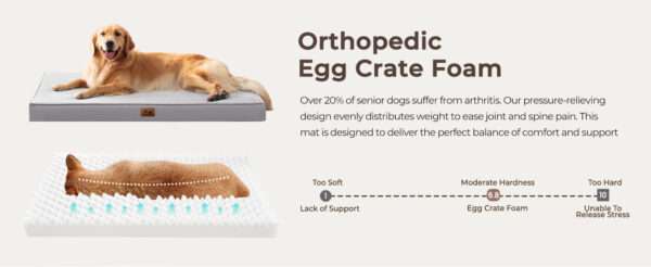 Cama para perro 5-en-1 de lujo, ortopédica con espuma gruesa, base antiarañazos e impermeable. Diseño reversible de doble cara para frío y calor.