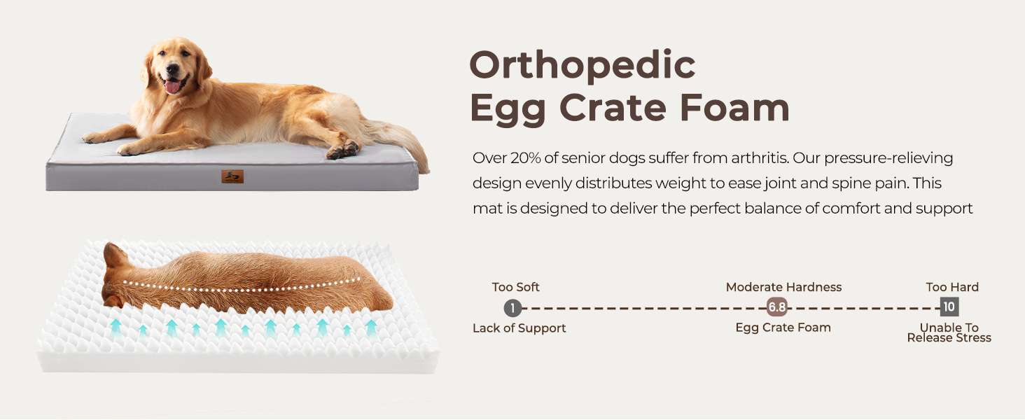 Cama para perro 5-en-1 de lujo, ortopédica con espuma gruesa, base antiarañazos e impermeable. Diseño reversible de doble cara para frío y calor.