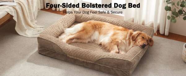 Cama ortopédica para perro, con colchón viscoelástico de $8.9 \text{ cm}$, forro impermeable, bordes de soporte para cuello y funda lavable a máquina.