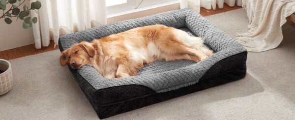 Cama ortopédica para perro, con colchón viscoelástico de $8.9 \text{ cm}$, forro impermeable, bordes de soporte para cuello y funda lavable a máquina.