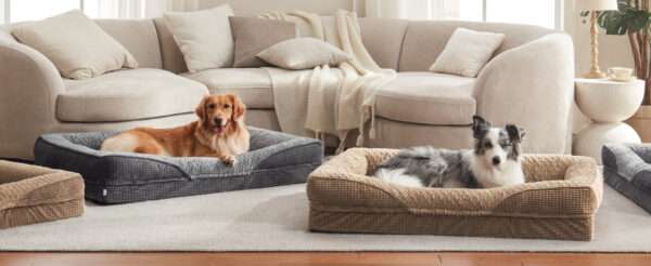 Cama ortopédica para perro, con colchón viscoelástico de $8.9 \text{ cm}$, forro impermeable, bordes de soporte para cuello y funda lavable a máquina.