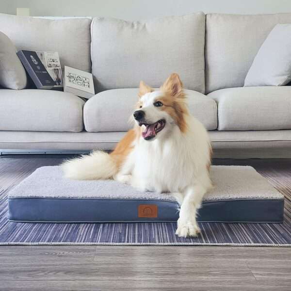 Cama ortopédica de perro con espuma de huevo de $7.6 \text{ cm}$, funda de felpa cálida, base antideslizante y forro impermeable, ideal para jaula.