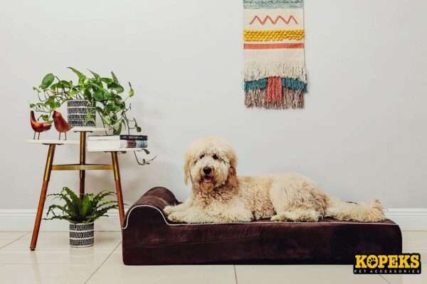 Cama ortopedica viscoelastica XXL de 127 x 86 cm con 17.8 cm de grosor. Protector interior impermeable y funda lavable para perros grandes y mayores.