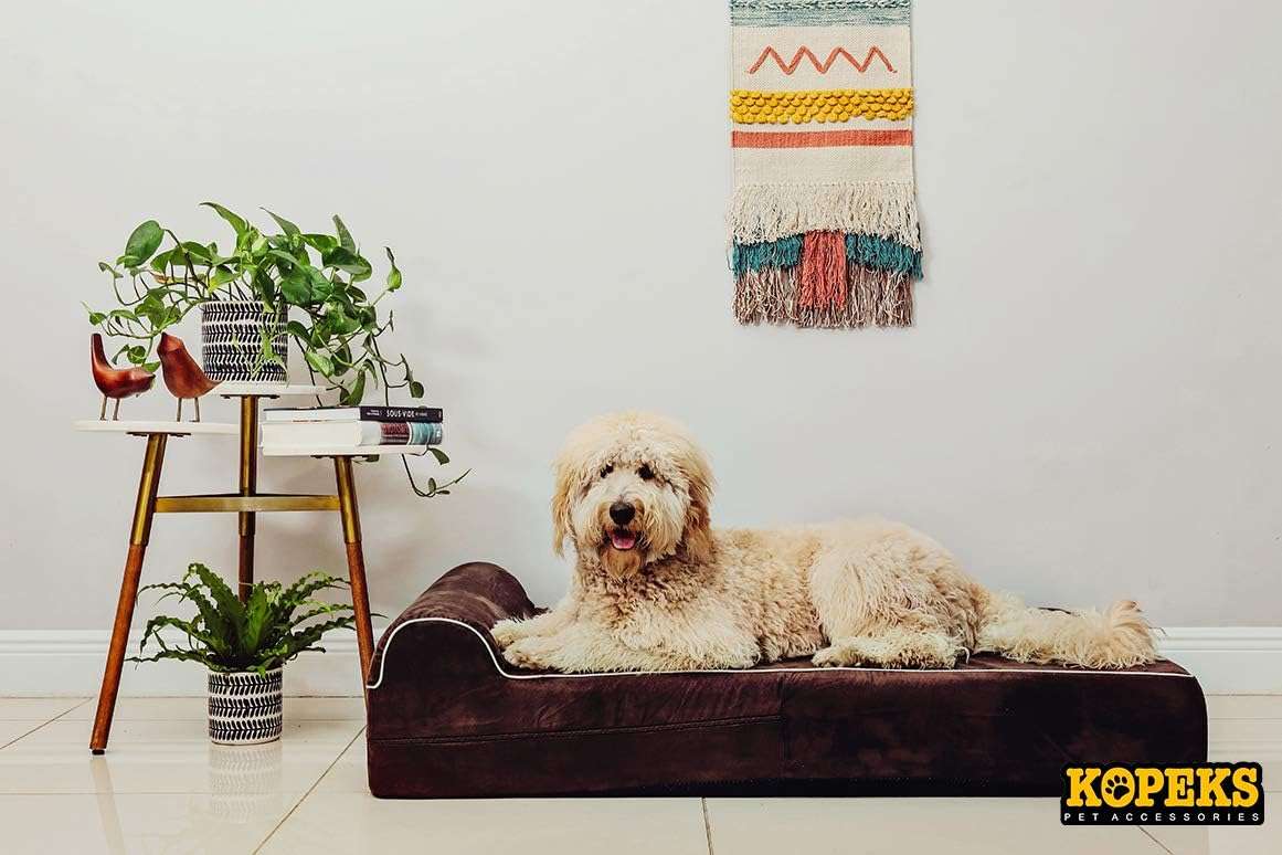 Cama ortopedica viscoelastica XXL de 127 x 86 cm con 17.8 cm de grosor. Protector interior impermeable y funda lavable para perros grandes y mayores.