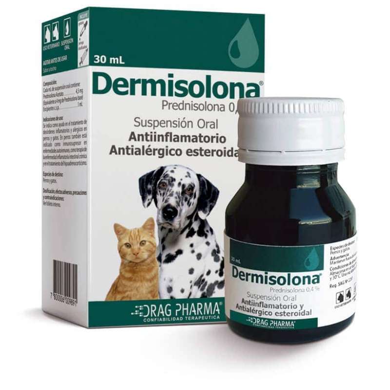 Dermisolona Suspension Oral (Prednisolona). Antiinflamatorio esteroidal y antialergico para perros y gatos. Inmunosupresor.