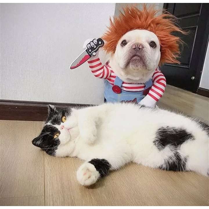 Disfraz de Halloween para perro 'Mini Chucky' asesino (3 piezas). Polera con efecto 3D, peluca roja y cuchillo de utilería de espuma. Tallas S, M, L, XL.