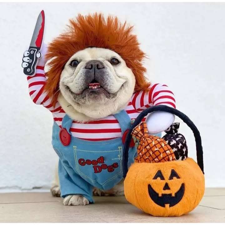 Disfraz de Halloween para perro 'Mini Chucky' asesino (3 piezas). Polera con efecto 3D, peluca roja y cuchillo de utilería de espuma. Tallas S, M, L, XL.