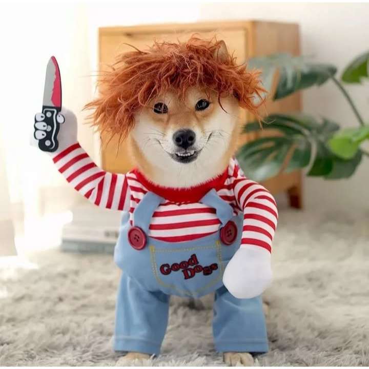 Disfraz de Halloween para perro 'Mini Chucky' asesino (3 piezas). Polera con efecto 3D, peluca roja y cuchillo de utilería de espuma. Tallas S, M, L, XL.