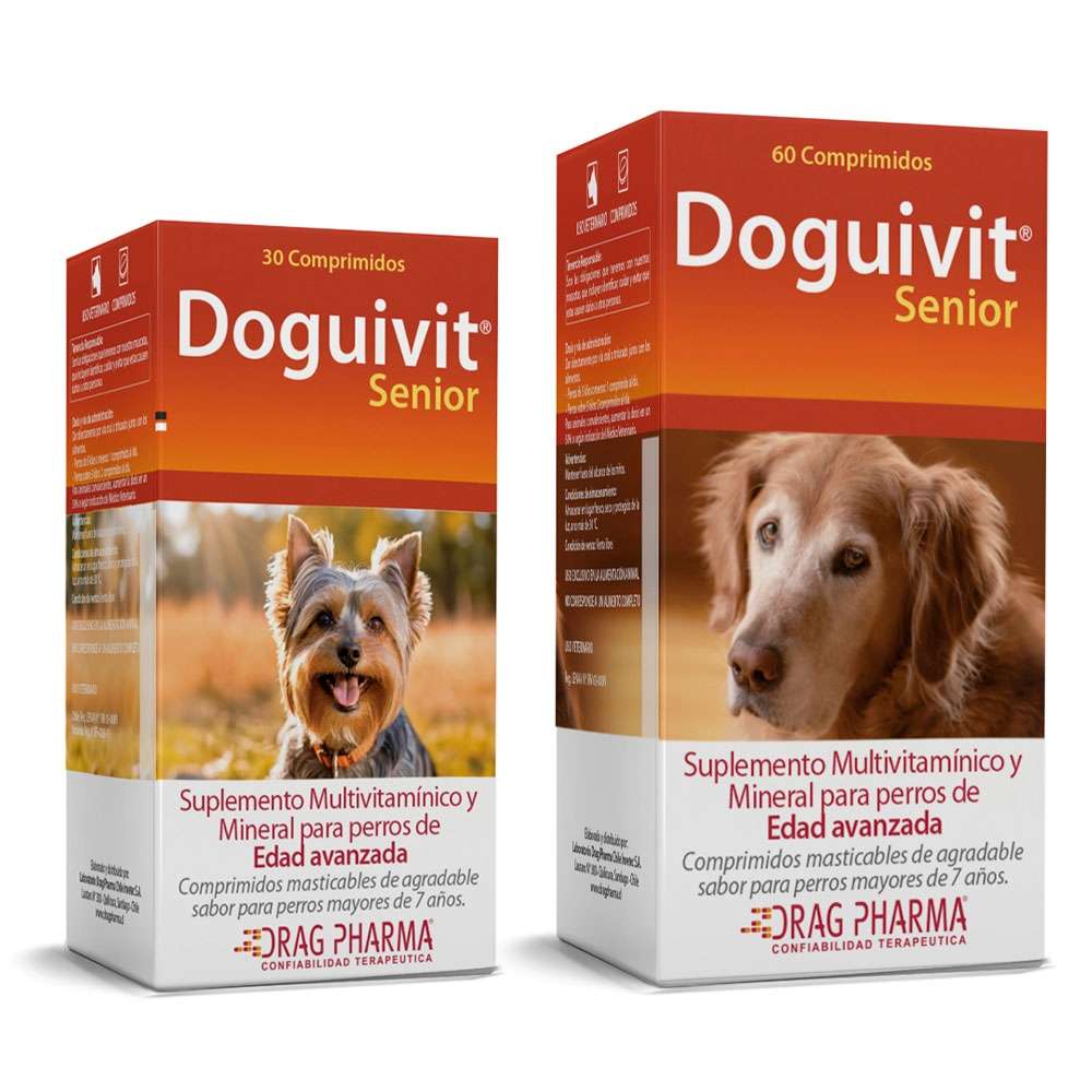 Doguivit Senior de Drag Pharma. Suplemento multivitamínico y mineral en comprimidos masticables para perros mayores de 7 años.