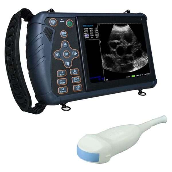 Ecógrafo Veterinario Portátil DAWEI con Sonda Microconvexa 5.0 MHz. Diagnóstico de Embarazo en Perros, Gatos, Conejos. Diseño Resistente a Caídas.