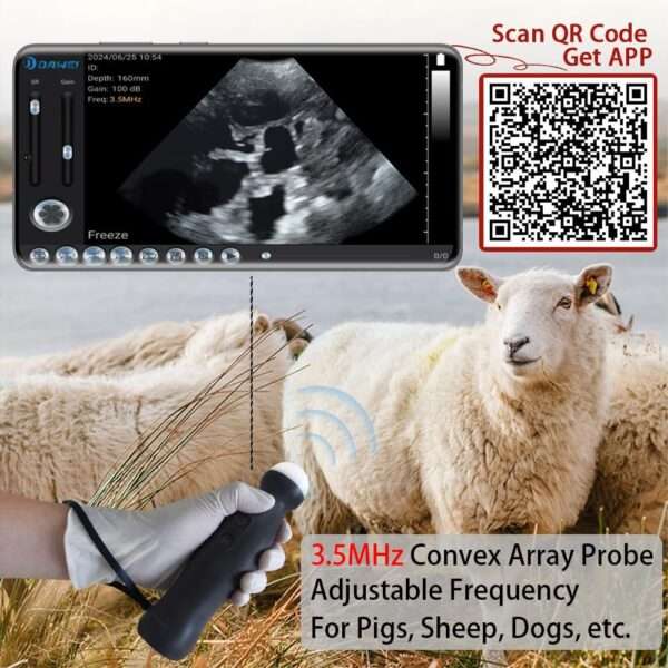 Ecógrafo Inalámbrico WIFI compatible con Android. Sonda IP67 Impermeable para Diagnóstico de Gestación y Medición de Grasa Dorsal en animales.